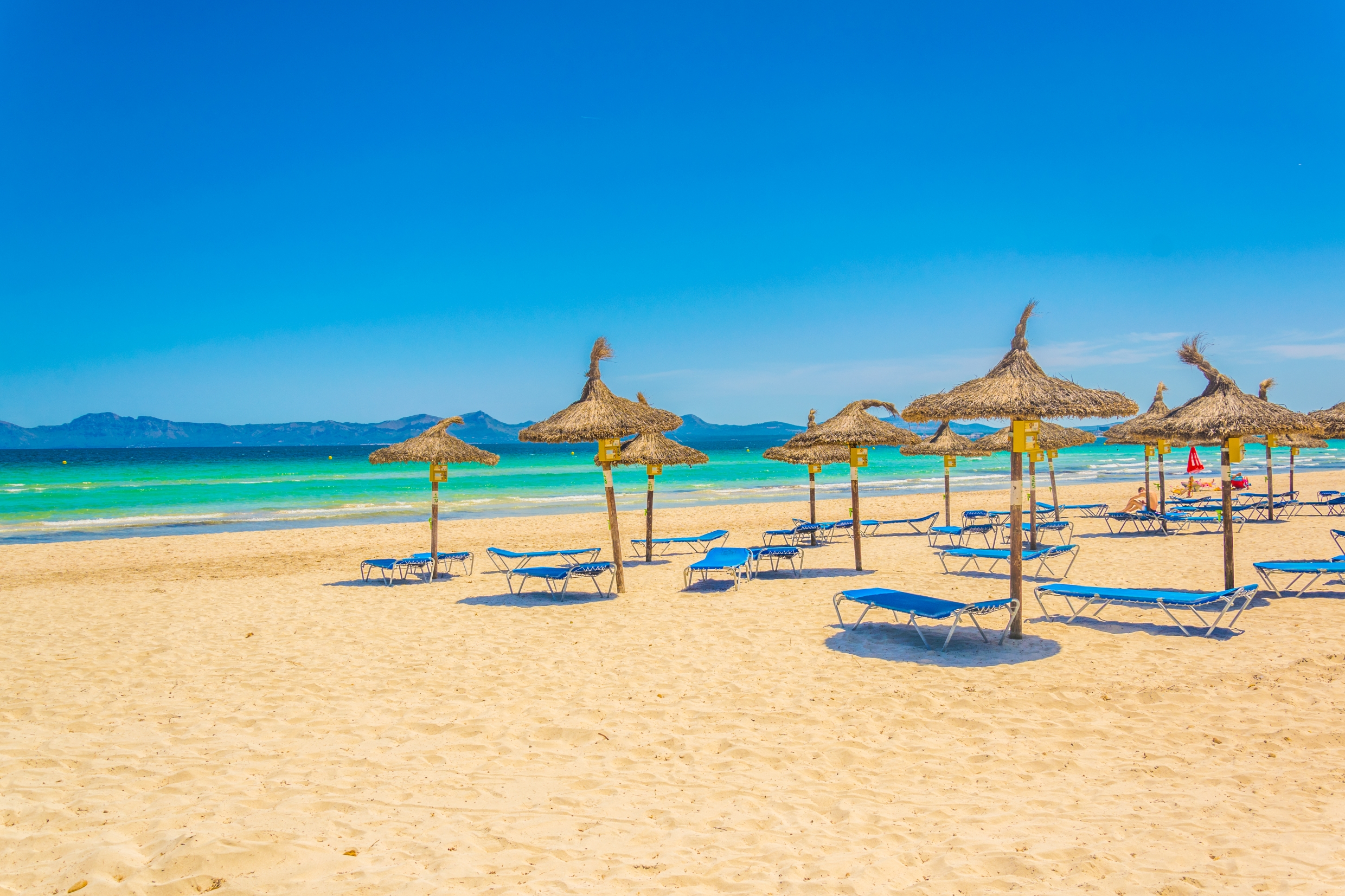Alcudia