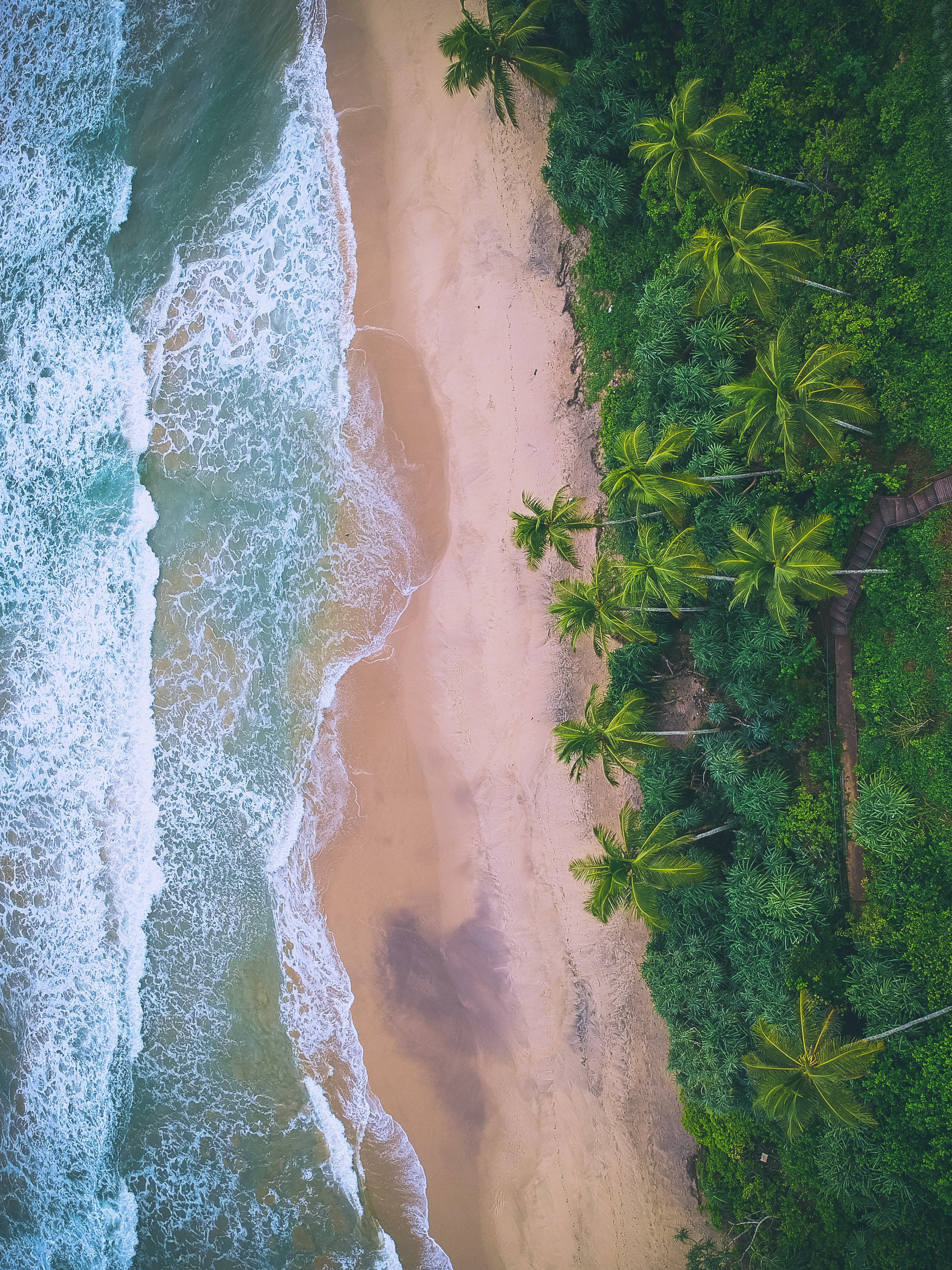 Holidays to Sri Lanka