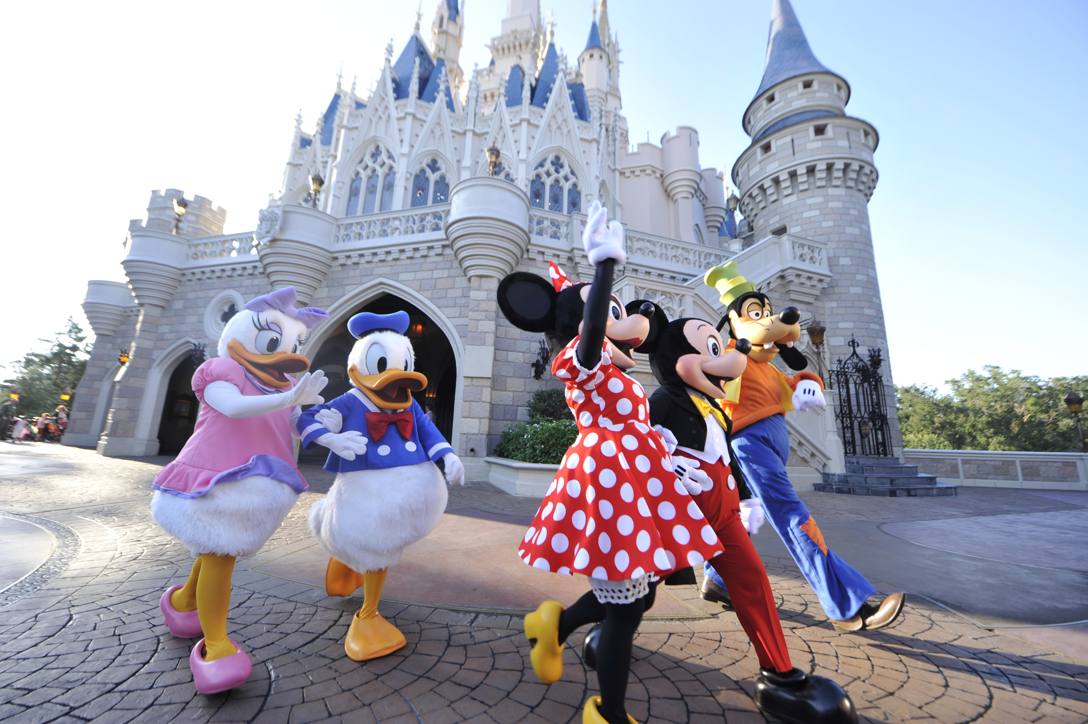 Book With Our Orlando Experts