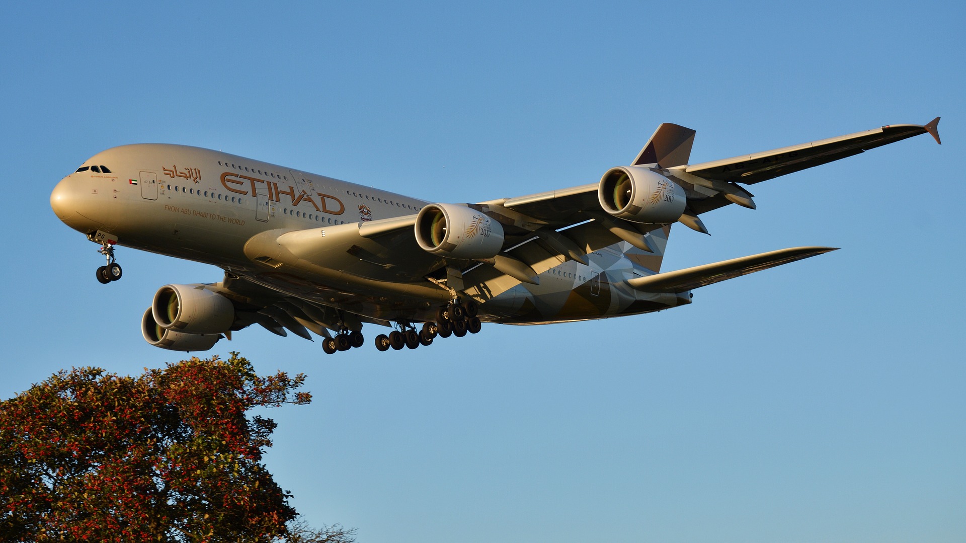 Etihad Flights