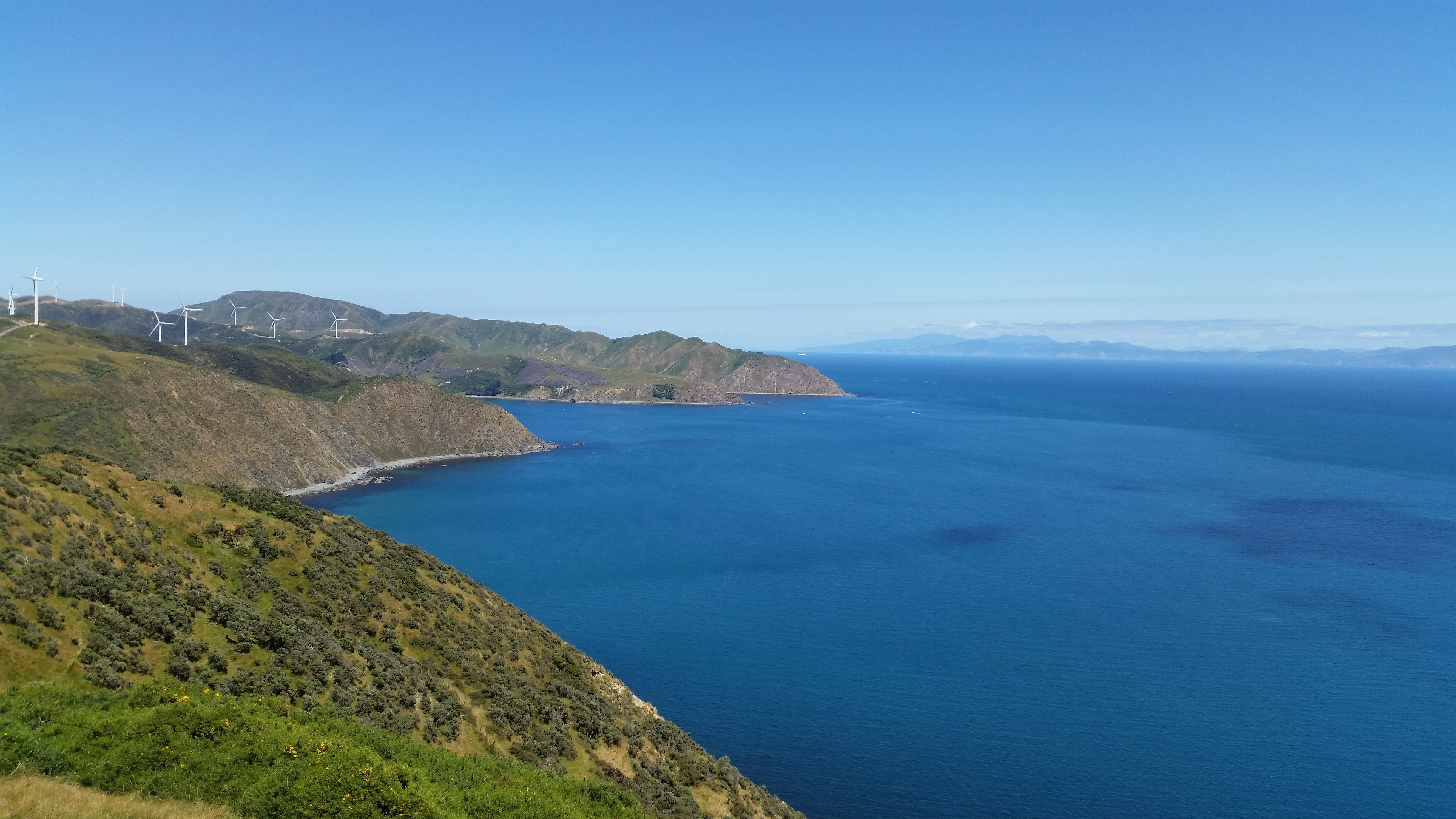 Wellington Holidays