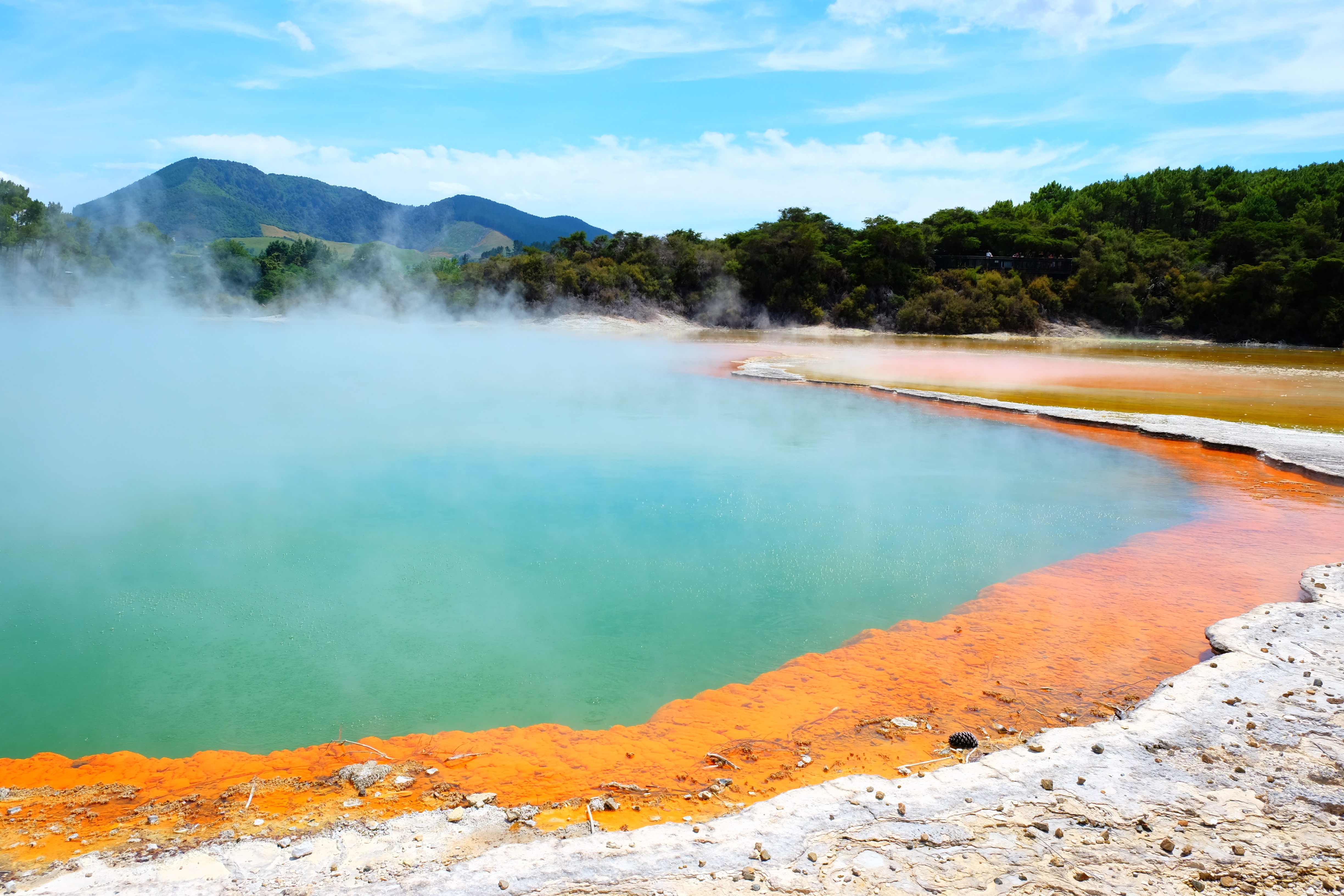 Rotorua Holidays