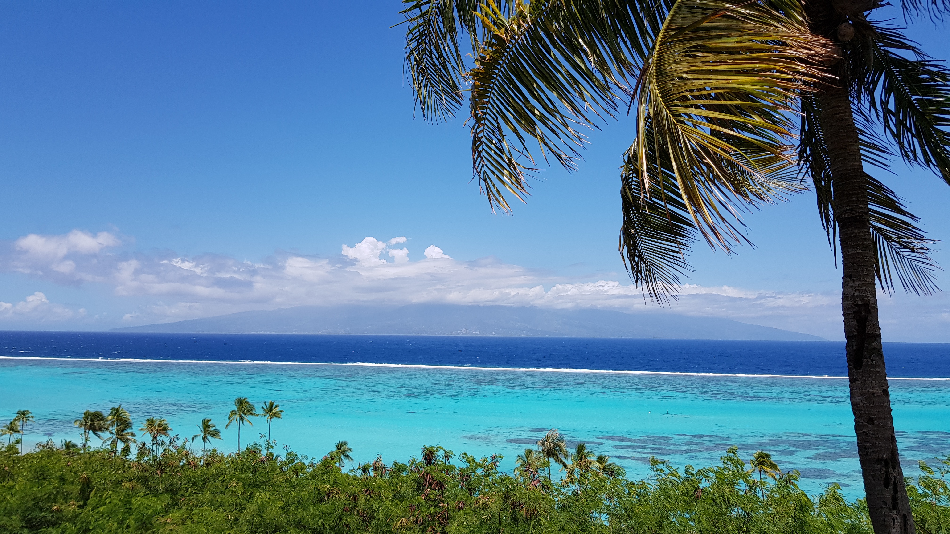 Moorea Holidays