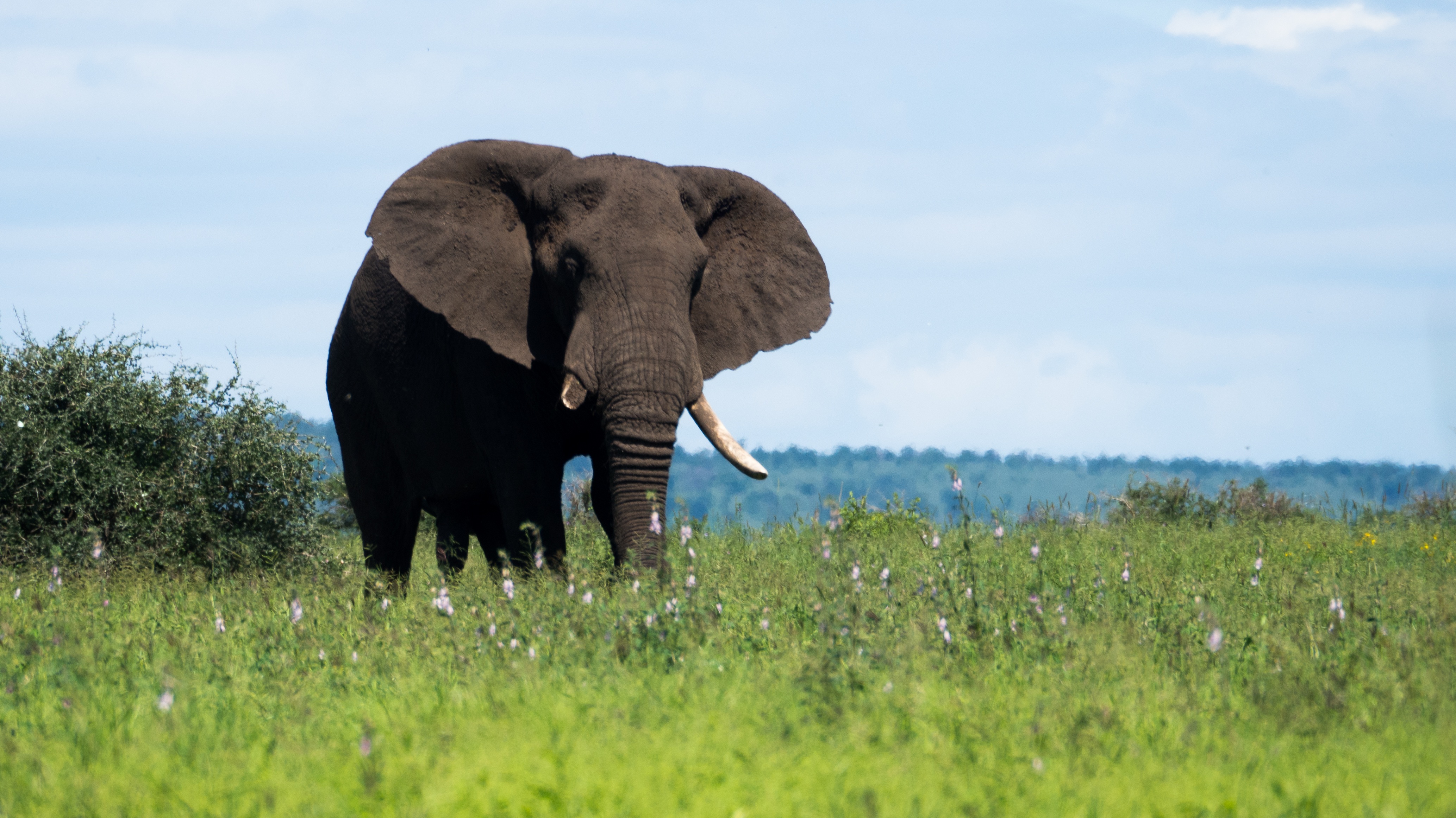 Kruger Area Holidays