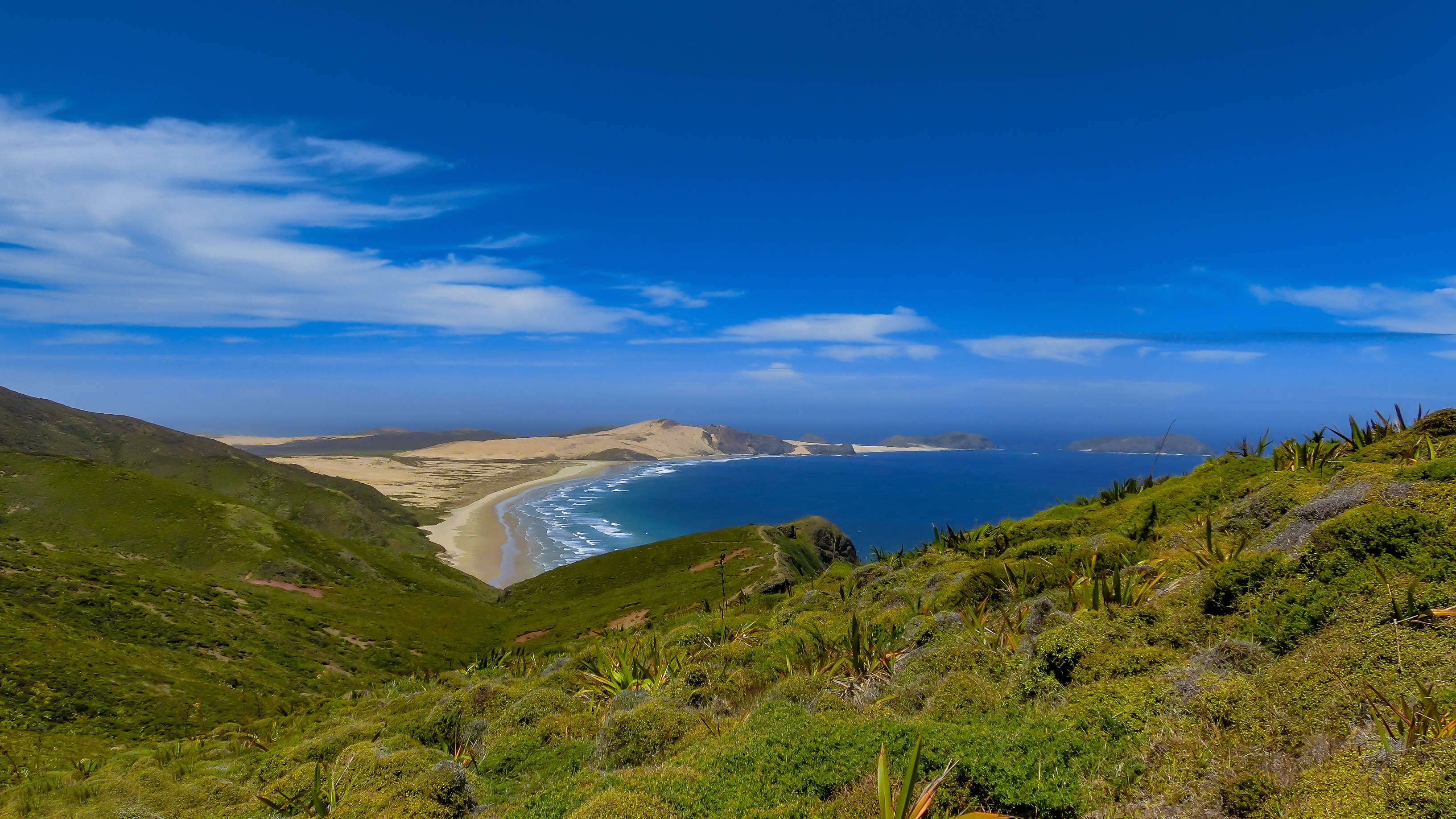 Bay of Islands Holidays