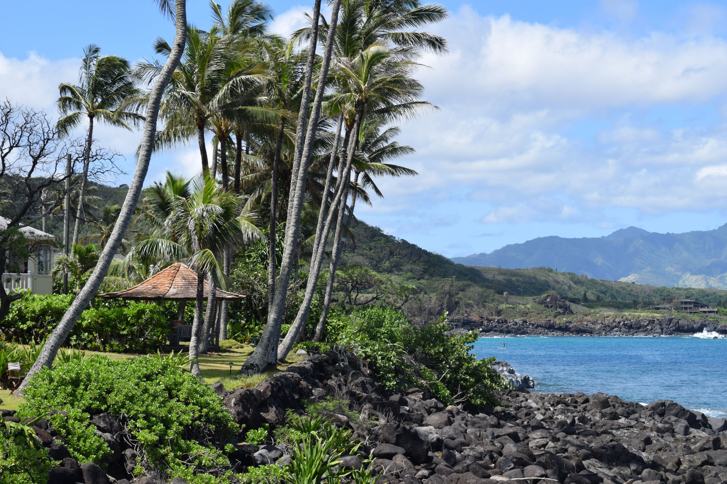 The Big Island Holidays
