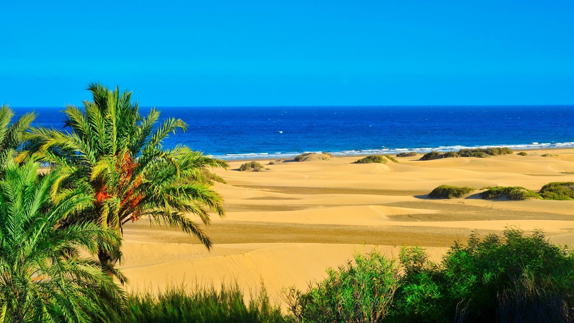 Rebekah's Trip to Gran Canaria
