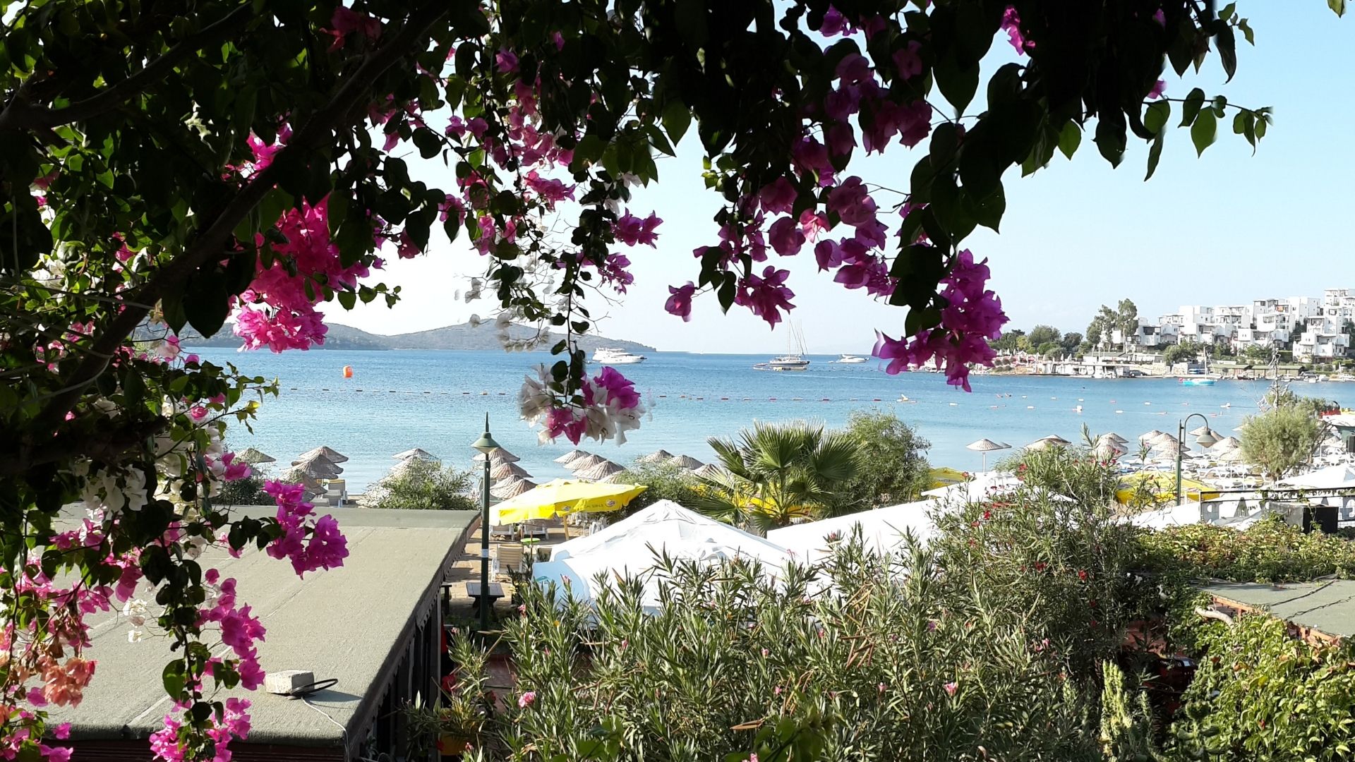 Holidays to Bitez