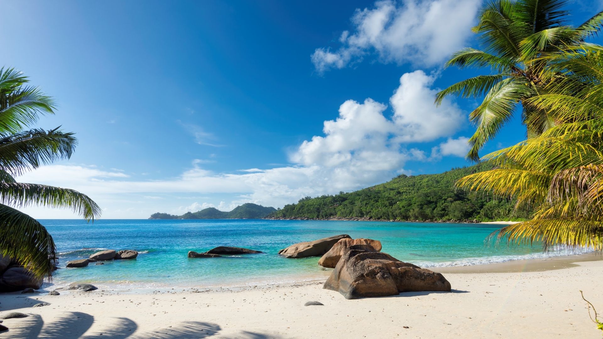 Book With Our Bahamas Experts