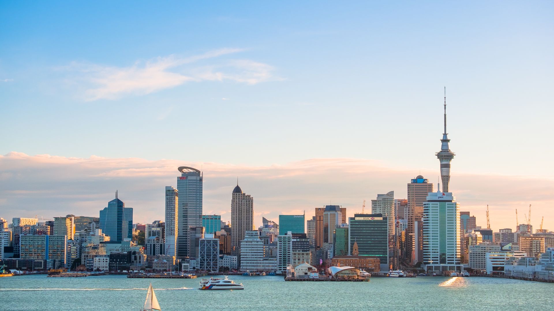 Book With Our Auckland Experts