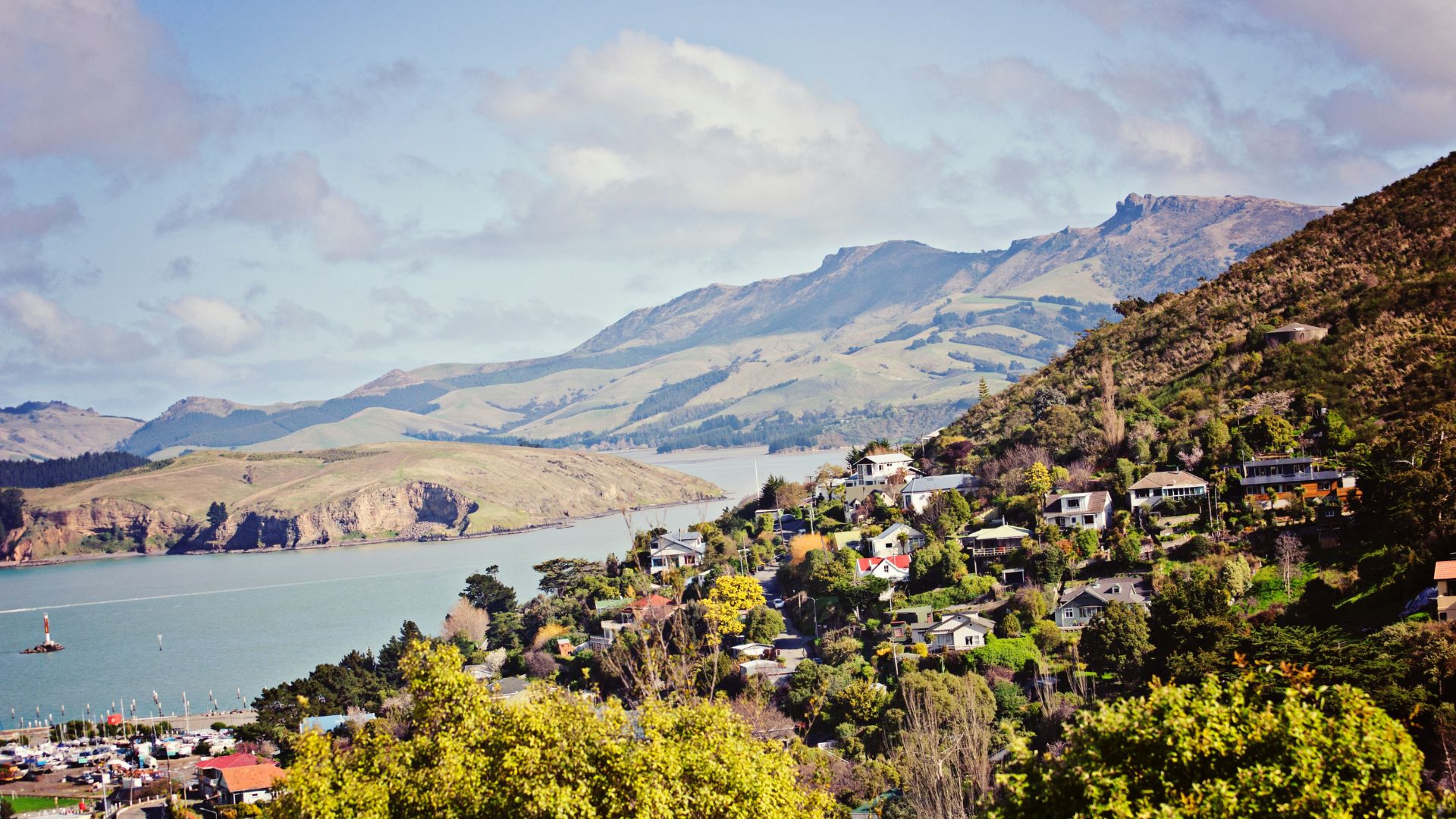 Book With Our Christchurch Experts