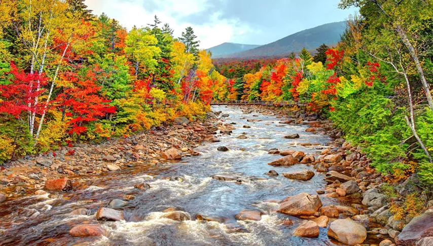 Autumn Colours