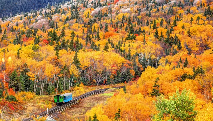 Autumn Colours