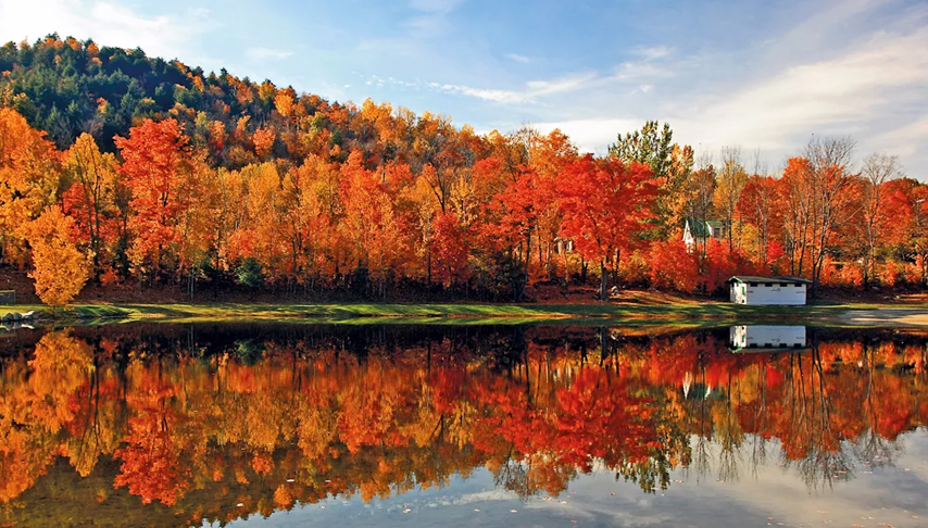 New England's Fall Foliage