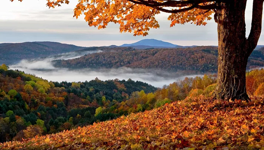 New England's Fall Foliage