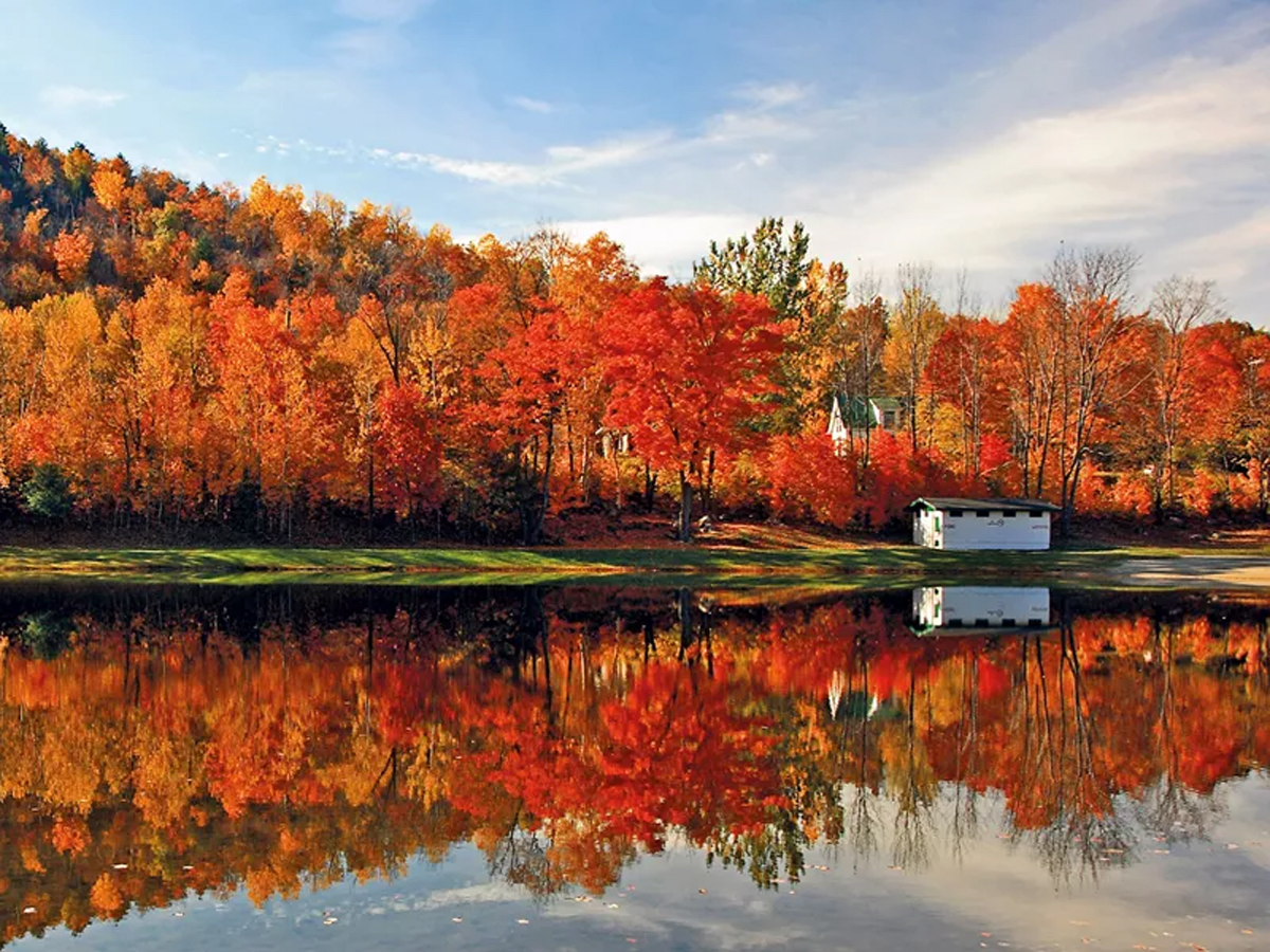 New England's Fall Foliage