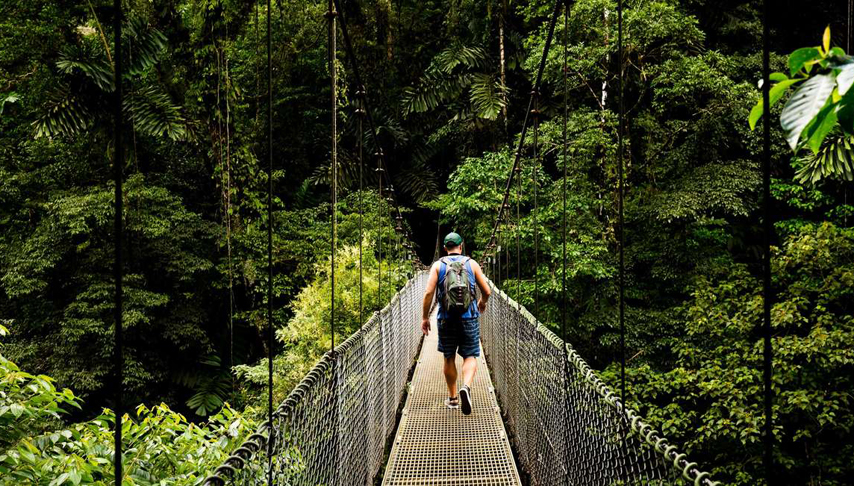 Costa Rica Wildlife Tour