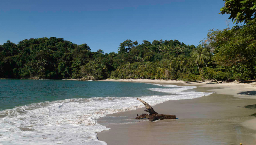 Costa Rica Wildlife Tour