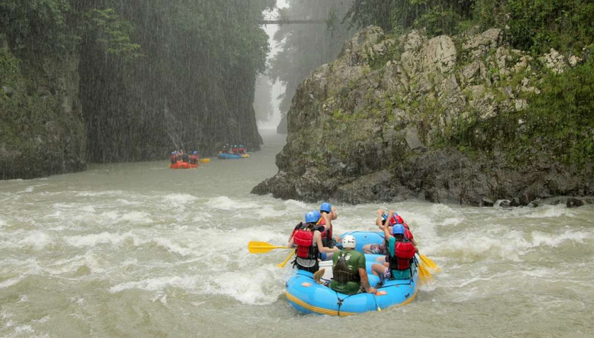Costa Rica Wildlife Tour