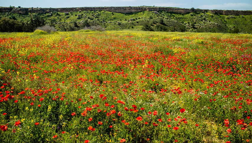 Walking in Northern Cyprus Tour