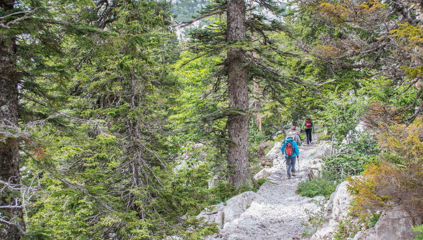Walks and Coastal Towns of Croatia Tour