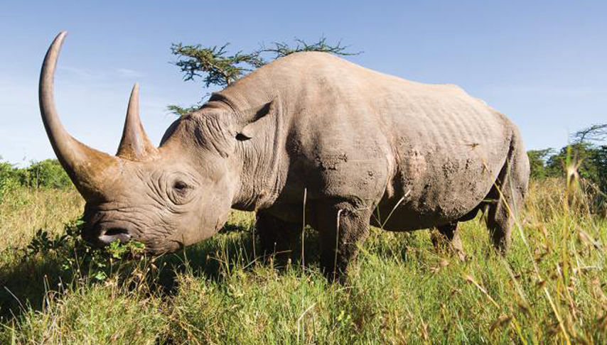 Family Safari with Teenagers