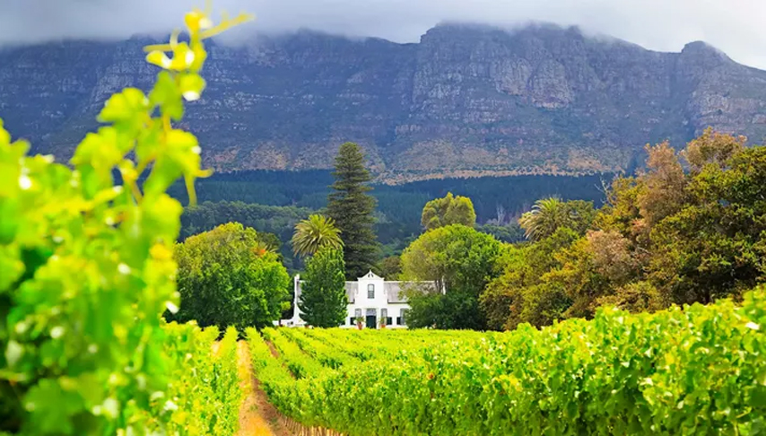 Wonders of the Western Cape Tour