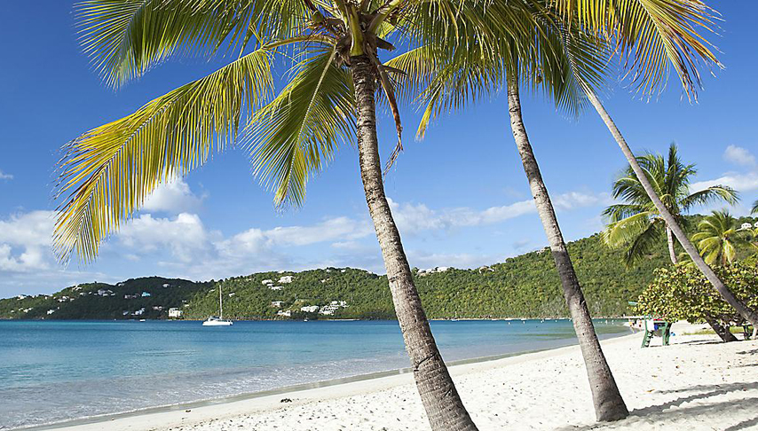 Caribbean & Perfect Day Family Cruise