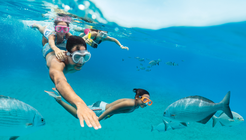 Caribbean & Perfect Day Family Cruise