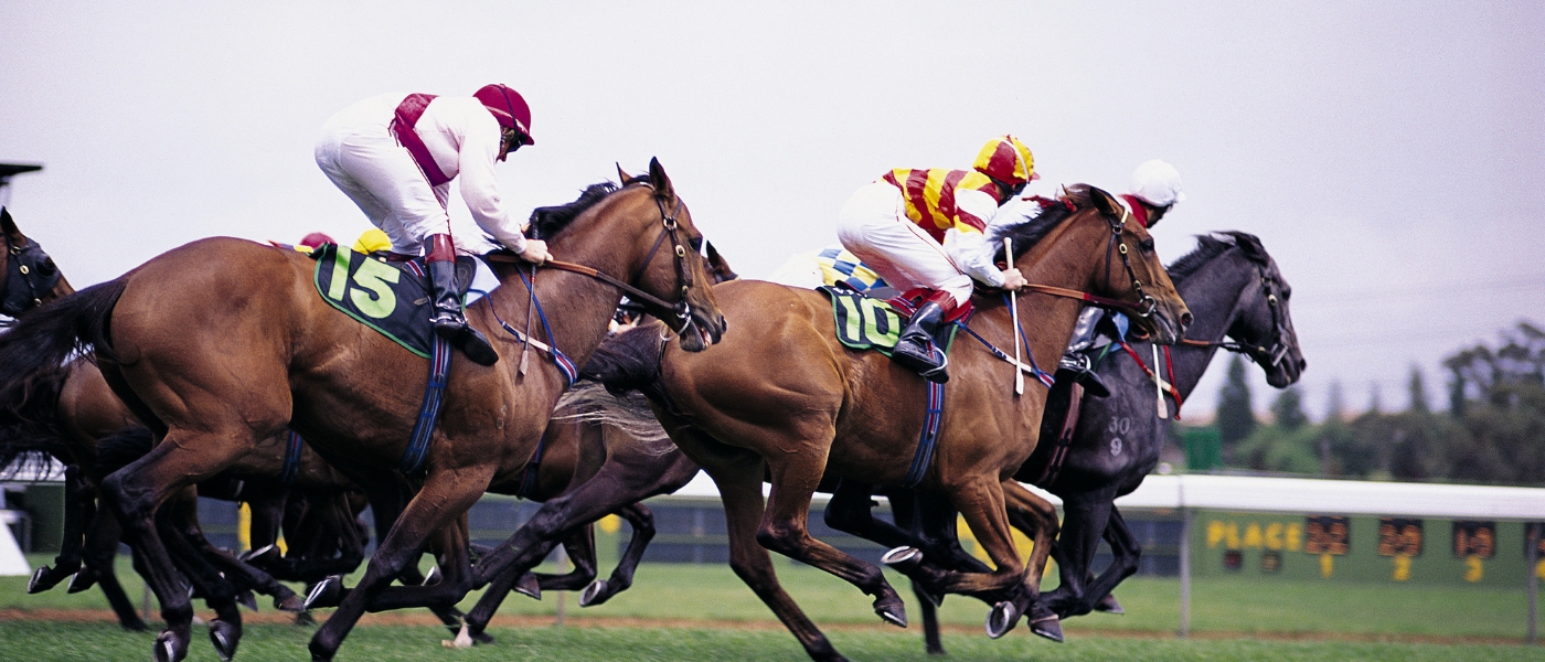 Horse Racing (2)