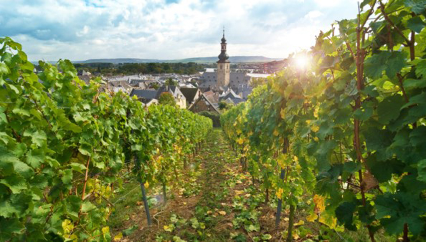 Castles Along the Rhine