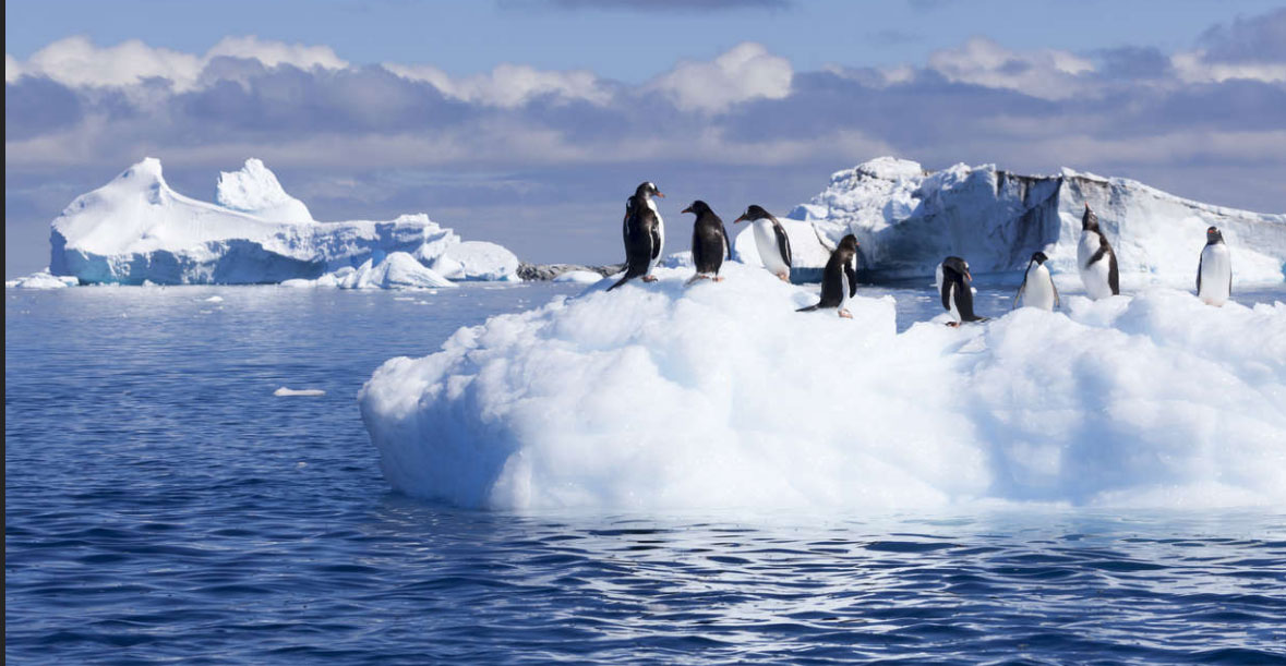 Classic Antarctica