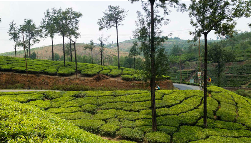 Cycle Kerala