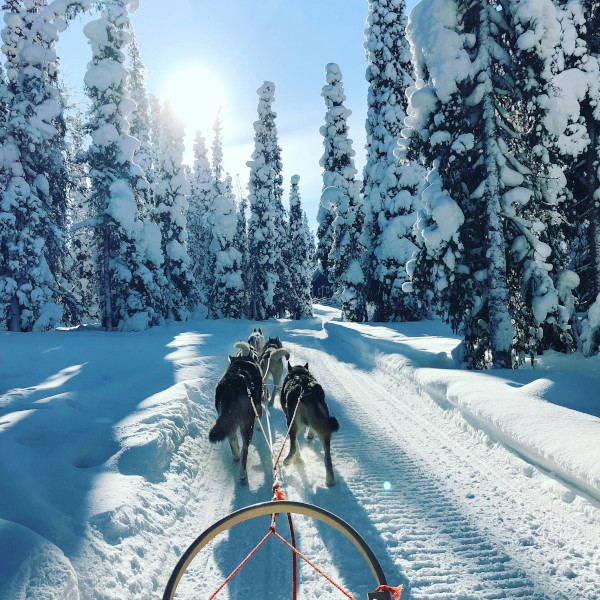 Ruka 3 Night Trip