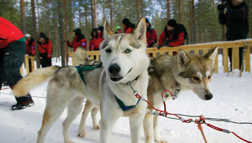 Lapland Rovaniemi 2 Night Trip