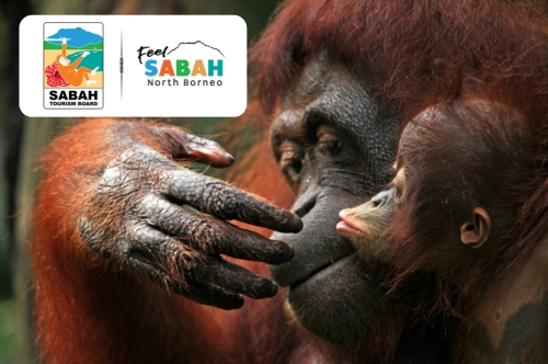 Borneo – East Sabah Adventure