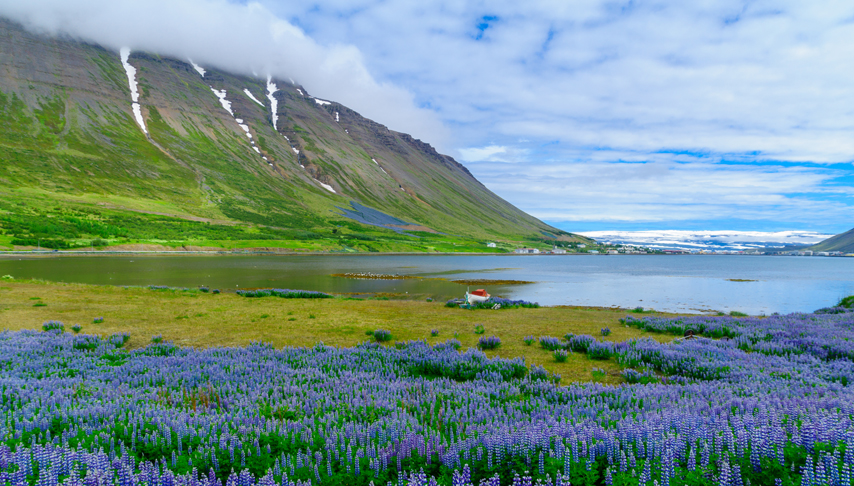 Iceland Fly Cruise and Stay