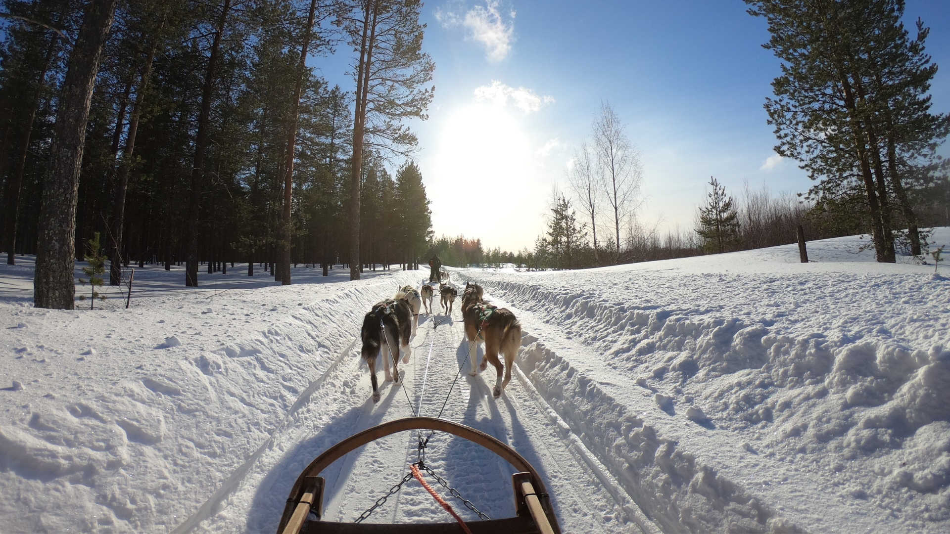 Book With Our Rovaniemi Experts