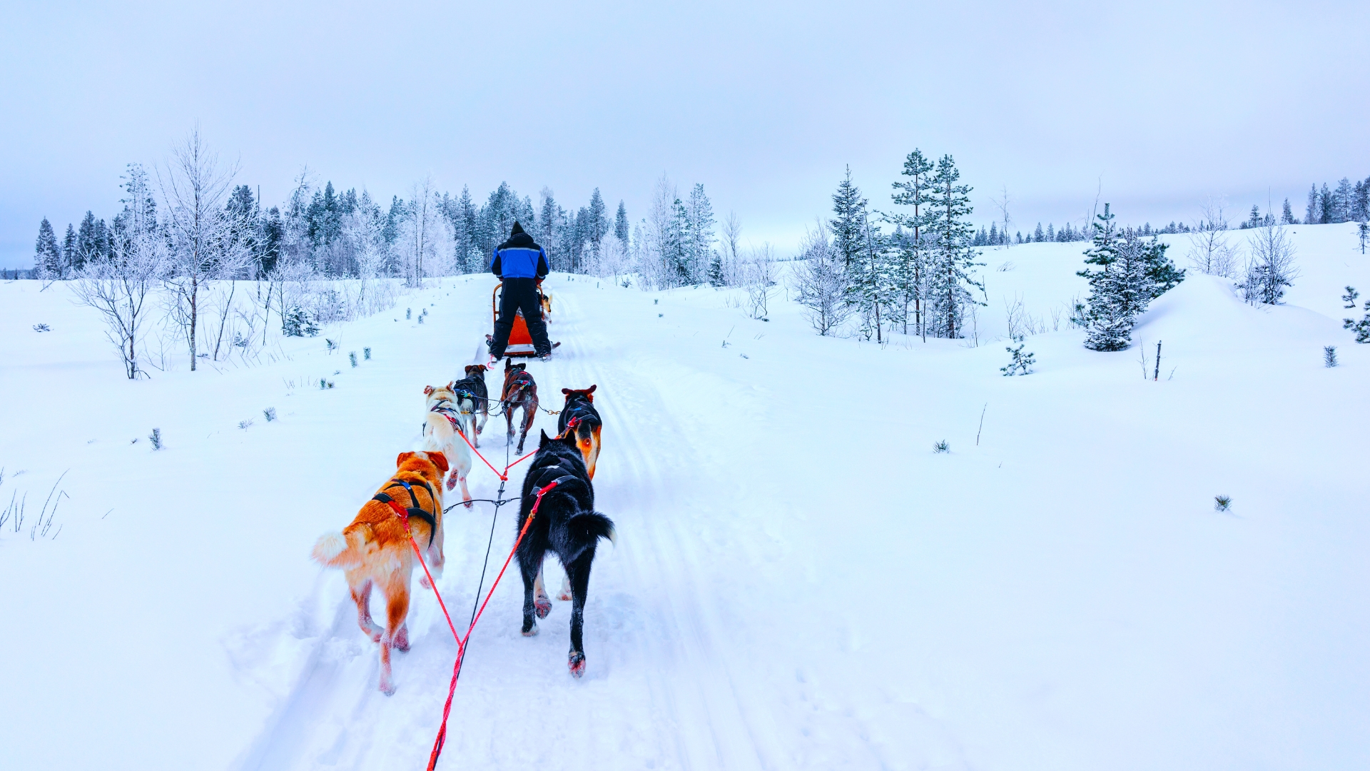 Rovaniemi
