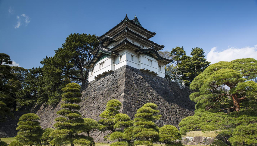 Epic Japan: Speed Trains & Street Food Tour
