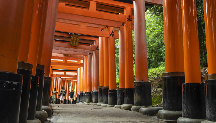 Japan Express – Osaka to Tokyo