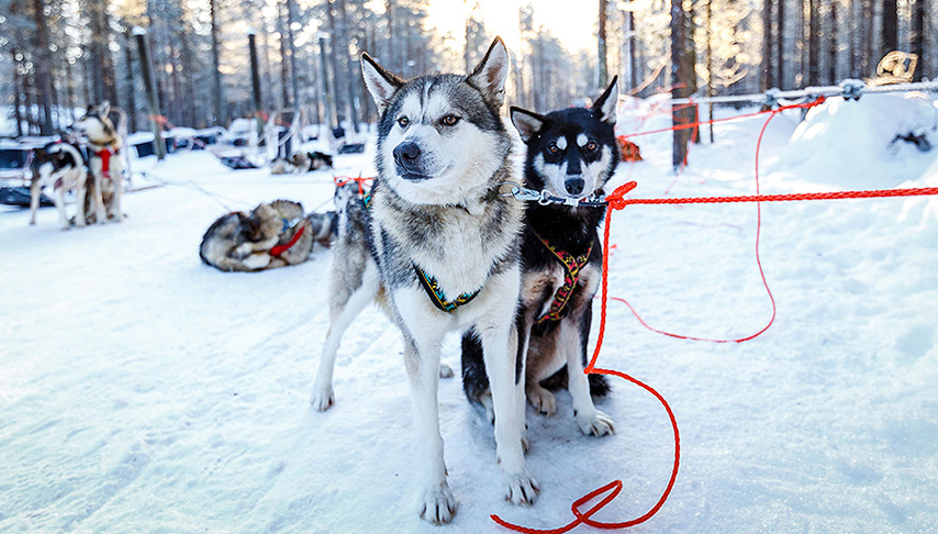 Lapland Kittila 3 Night Trip