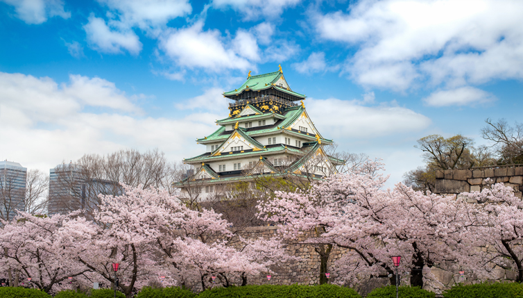 Japan Uncovered