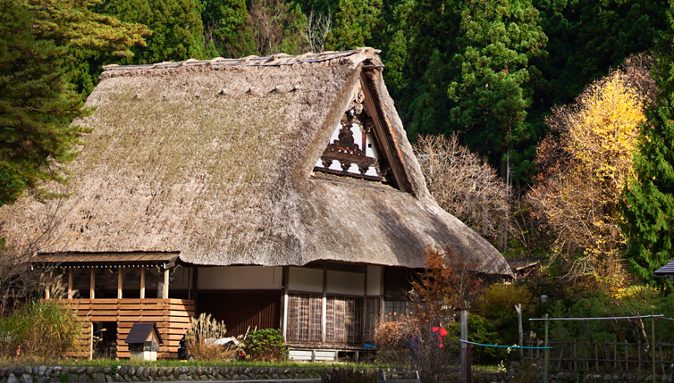 Japan Uncovered
