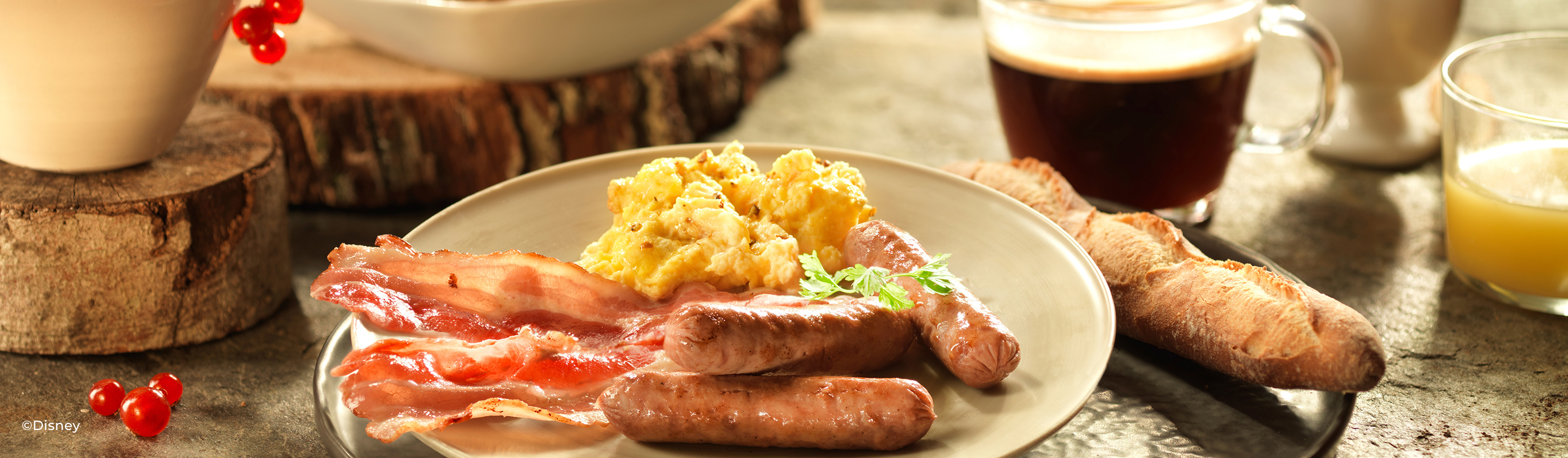 Disneyland Paris Meal Plans