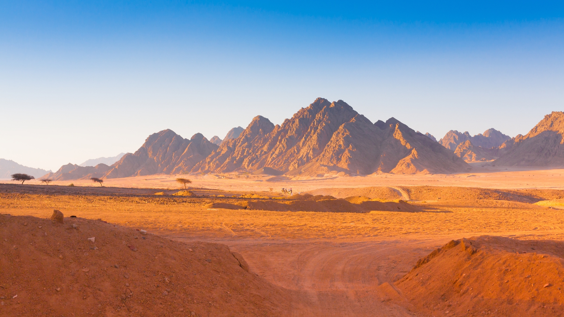Book With Our Egypt Experts