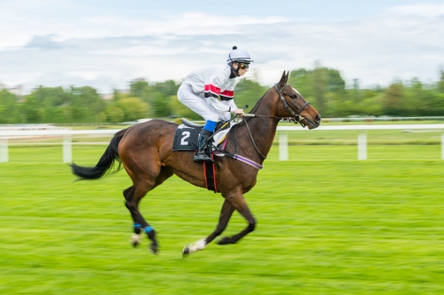 Aintree Grand National 2027