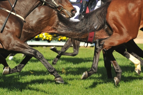 Prix de L'Arc