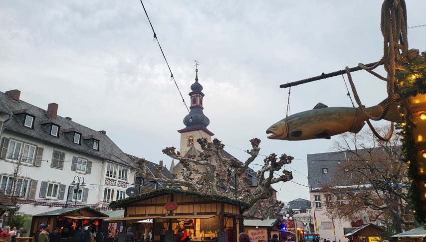Enchanting Rhine and Yuletide Markets