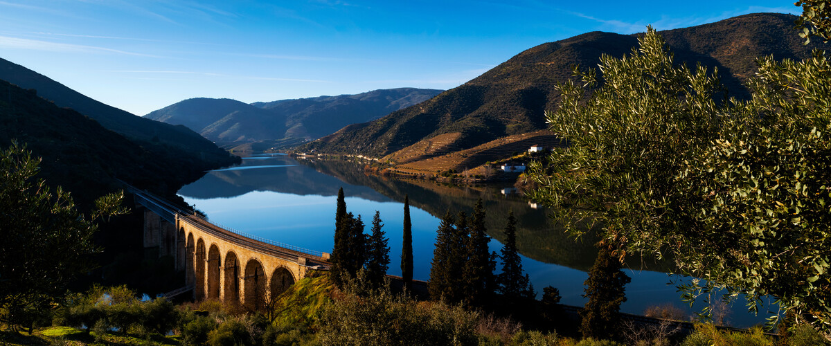 TJ Gettyimages 1173435529 Scenic View Of The Douro River With Terraced Vineyards Near The Village Of Foz Coa